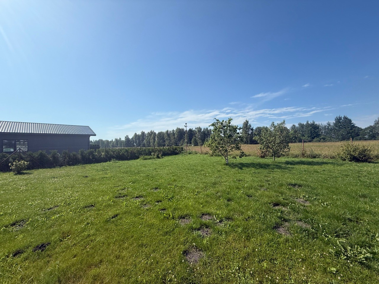 estate photo