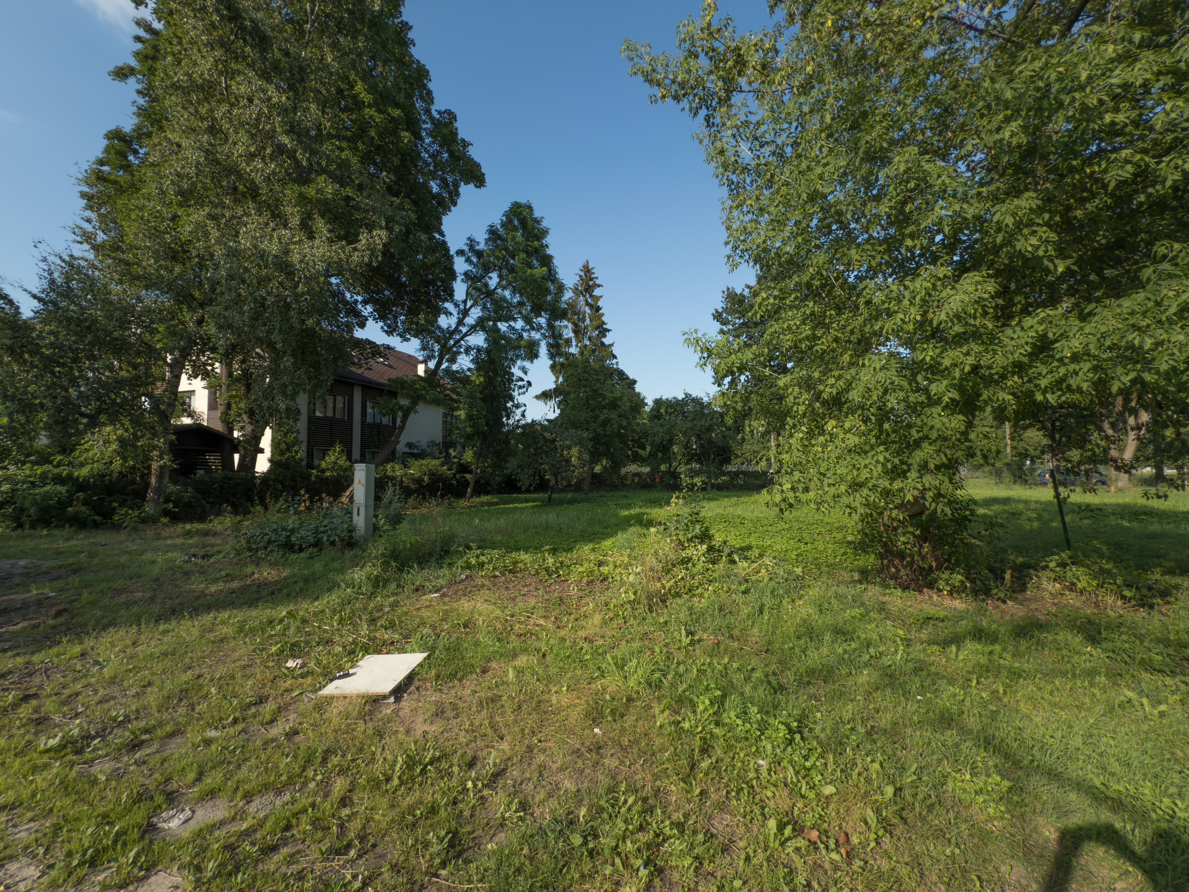 estate photo
